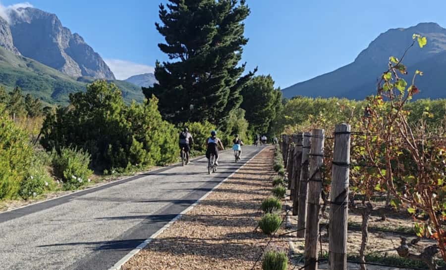 Franschhoek: E-Bike & Wine Tour (Shared Tour) - Why Franschhoek works so well by e-bike