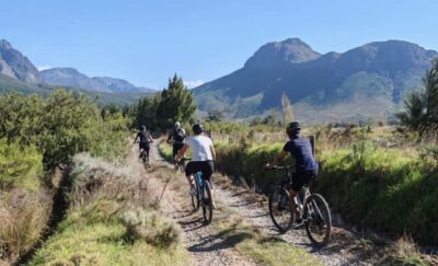 E-Bike & Wine Tour (Shared Tour)