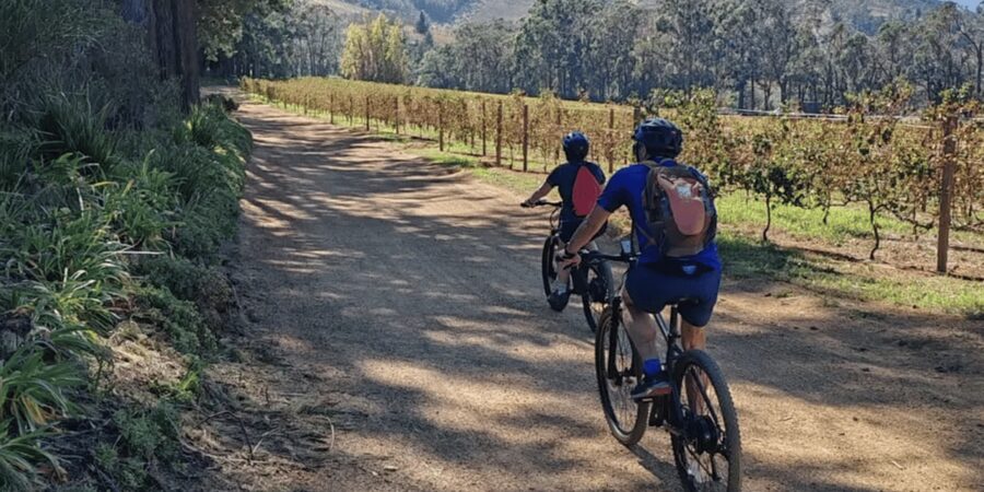 Franschhoek: E-Bike & Wine Tour (Shared Tour) - What makes the guides important