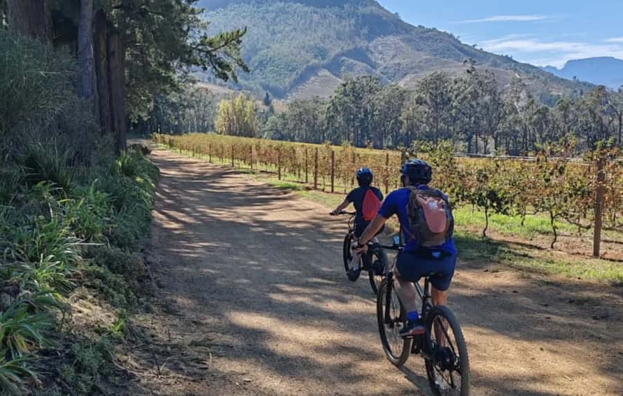 Franschhoek: E-Bike & Wine Tour (Shared Tour) - A realistic look at the four-hour schedule