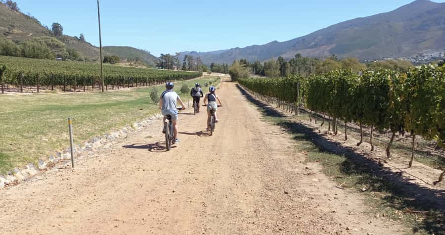 Franschhoek: E-Bike & Wine Tour (Shared Tour) - Is $108 a fair price?