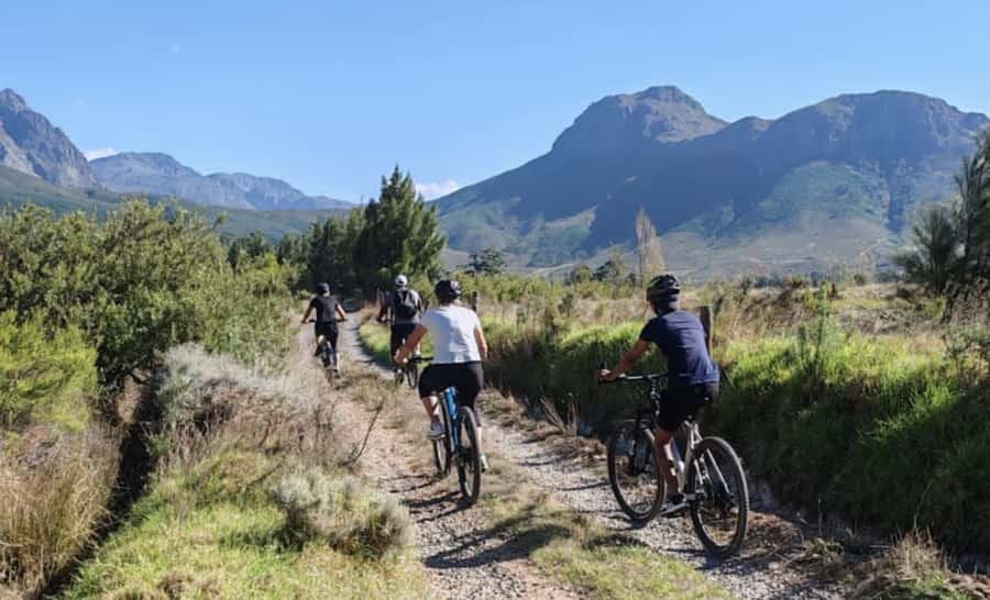 Franschhoek: E-Bike & Wine Tour (Shared Tour) - Riding through historic Franschhoek