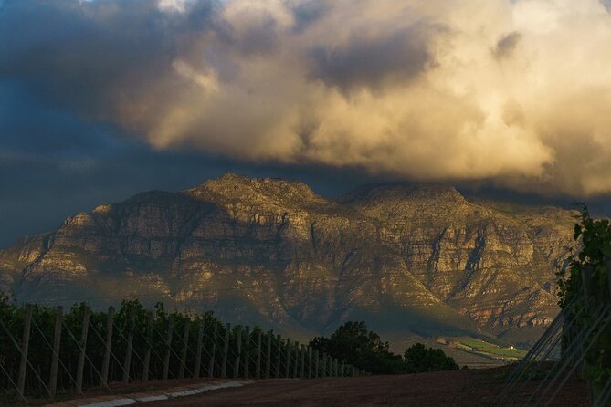 Franschhoek Family Cycle Tour - A useful pace for a half-day in Franschhoek