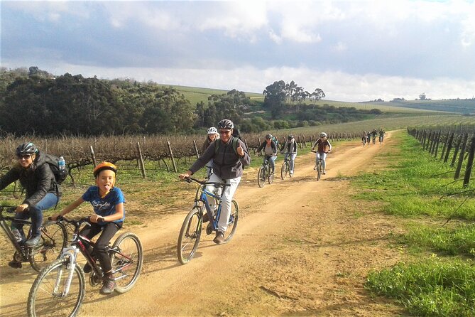 Franschhoek Family Cycle Tour - Riding 10 kilometers through the Cape Winelands