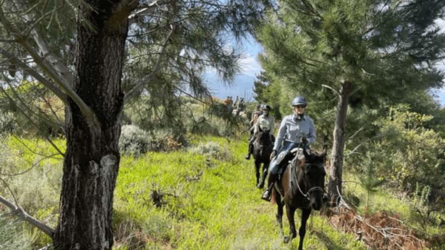Franschhoek: Half Day Horse Trail and Wine Tasting - Key points to know before you book