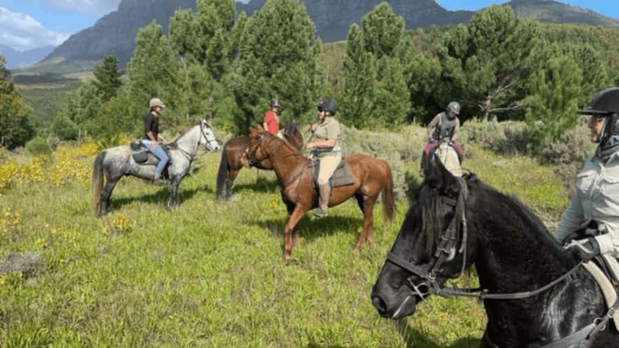 Franschhoek: Half Day Horse Trail and Wine Tasting - Climbing toward the Great Drakenstein Mountains