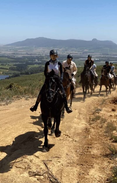 Half Day Horse Trail and Wine Tasting