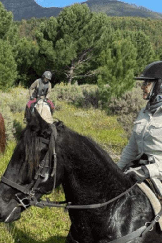 Franschhoek: Half Day Horse Trail and Wine Tasting - What the $277 price means