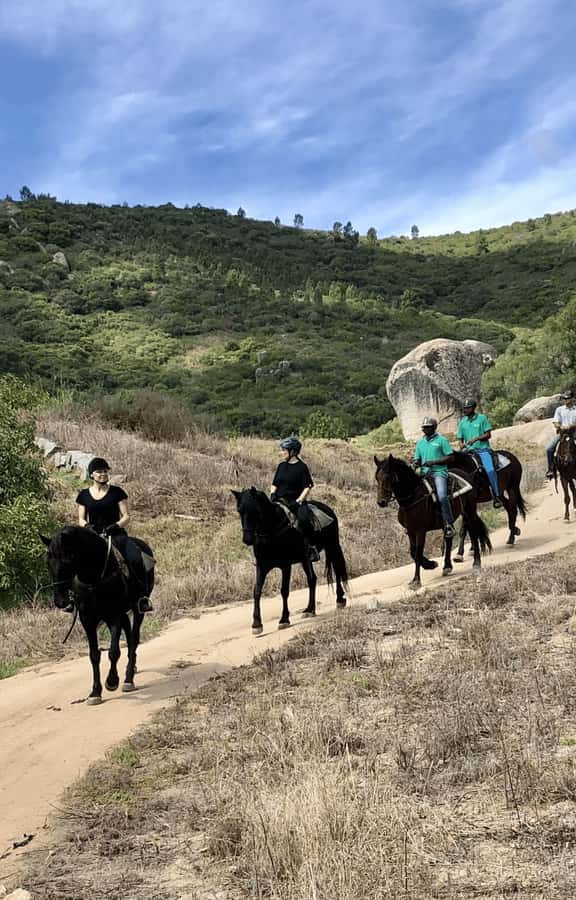 Franschhoek: Half Day Horse Trail and Wine Tasting - Arrival, roadworks, and the three-hour schedule