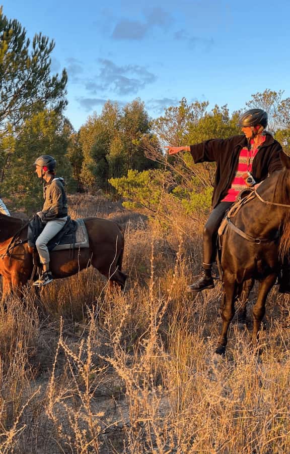 Franschhoek: Half Day Horse Trail and Wine Tasting - Who will enjoy this ride most