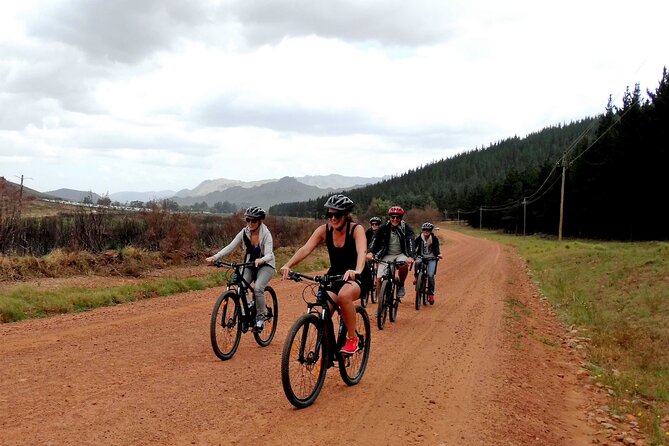 Franschhoek Half Day Winelands Mountain Bike Tour - Key points at a glance