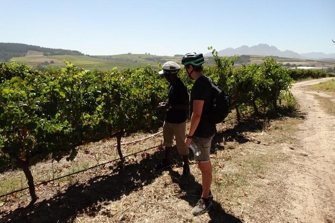 Franschhoek Half Day Winelands Mountain Bike Tour - Starting at Rickety Bridge at 10 a.m.