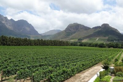 Franschhoek Half Day Winelands Mountain Bike Tour