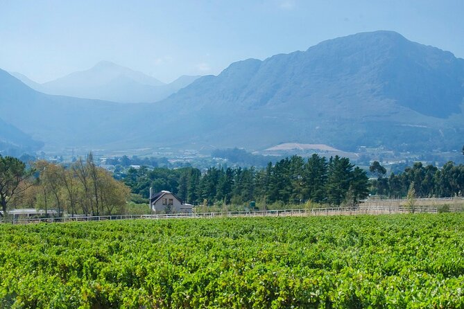 Franschhoek Half Day Winelands Mountain Bike Tour - What the $79.93 price really covers