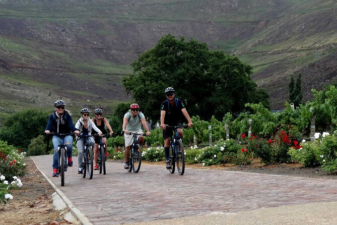 Franschhoek Half Day Winelands Mountain Bike Tour - Guides make the difference on a mixed-skill ride