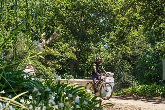 Franschhoek Half Day Winelands Mountain Bike Tour - Morning or afternoon: choosing the better departure