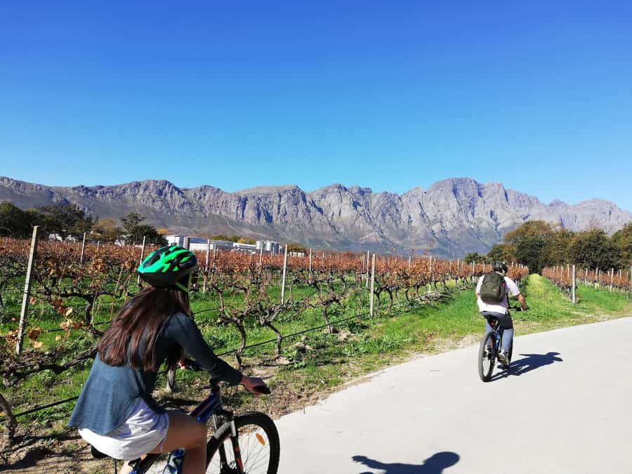 Franschhoek: Private E-bike Ride & Wine Experience - La Bri adds a focused wine-pairing experience