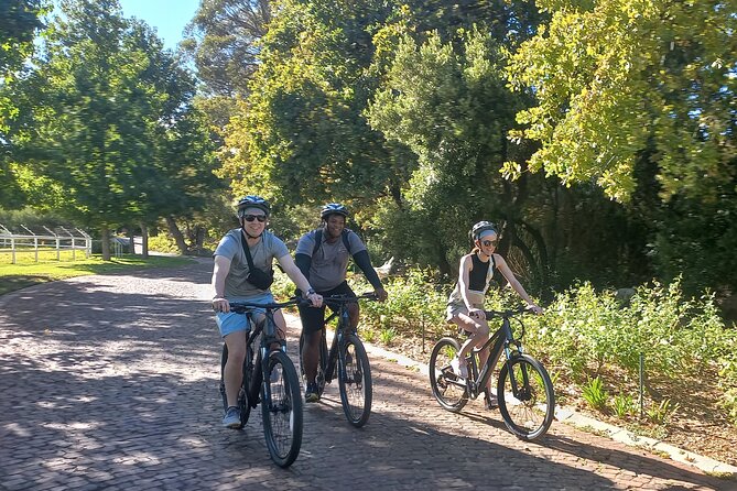 Franschhoek Shared E-Bike and Wine Tour - The best parts of this Franschhoek bike tour