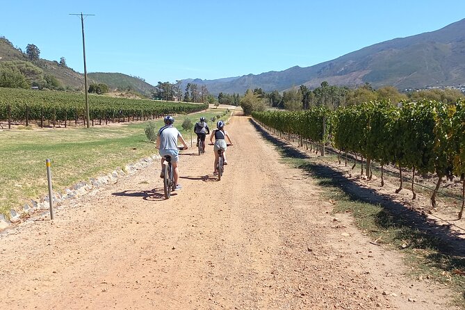Franschhoek Shared E-Bike and Wine Tour - Why cycling is a good way to see Franschhoek