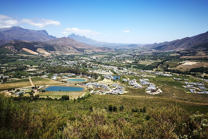 Franschhoek Shared E-Bike and Wine Tour - Guides, group size, and the feel of the outing
