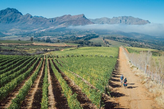 Franschhoek Sip & Cycle Experience Full Day - Private Tour - Lunch at a wine farm, included on the full-day tour