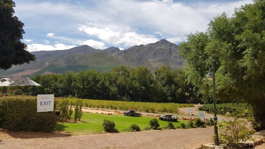 Franschhoek & Stellenbosch: Full-Day Wine Tour - Why this wine day works
