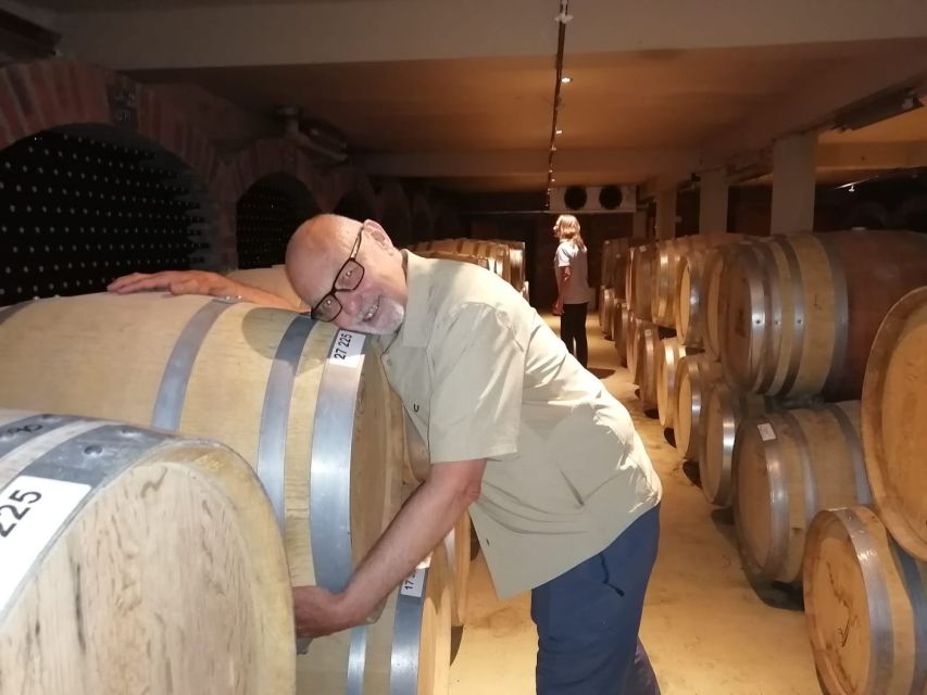 Franschhoek & Stellenbosch: Full-Day Wine Tour - What the guide adds to the day