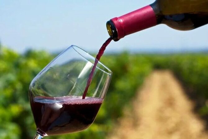Franschhoek Wine Tram Hop On Hop Off Tour - How the hop-on, hop-off plan works