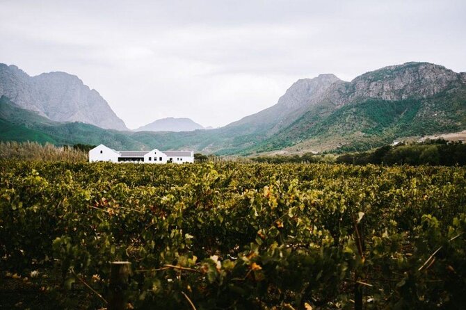 Franschhoek Wine Tram Hop-On Hop-Off Tour from Cape Town. - Leaving Cape Town for Franschhoek