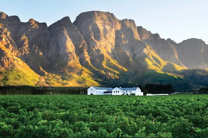 Franschhoek Wine Tram Hop-On Hop-Off Tour from Cape Town. - Riding through the vineyards