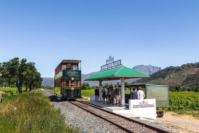 Franschhoek Wine Tram Hop-On Hop-Off Tour from Cape Town. - Choosing wineries instead of chasing them all