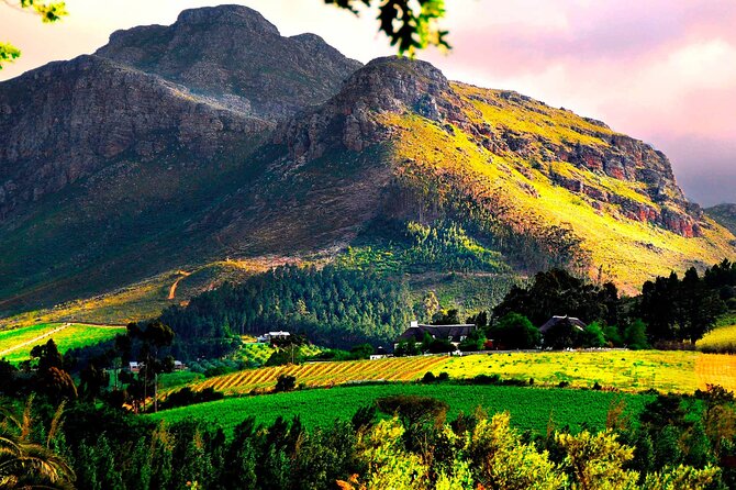 Franschhoek Wine Tram Hop-On Hop-Off Tour from Cape Town. - Is $135.86 a fair price?