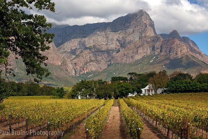 Franschhoek Wine Tram Hop-On Hop-Off Tour from Cape Town. - Arriving at the Franschhoek terminal