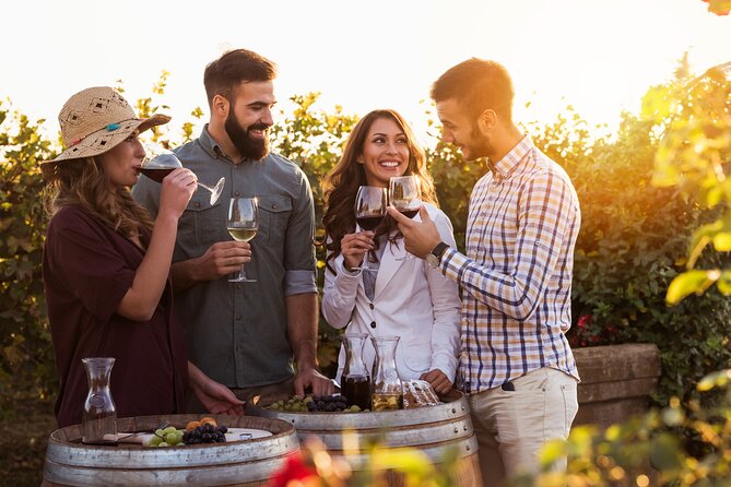 Franschhoek wine Tram & Stellenbosch Town Full day tour - Why this Cape Winelands day works well