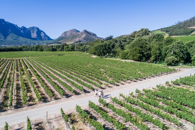 Franschhoek Wine Walk with Lunch - Starting at the Dutch Reformed Church in Franschhoek