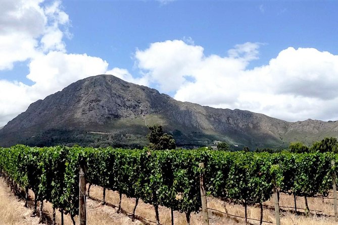 Franschhoek Winelands Luxury EBike Tour - Key points to know before booking