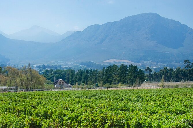 Franschhoek Winelands Luxury EBike Tour - Grande Provence brings grand valley views