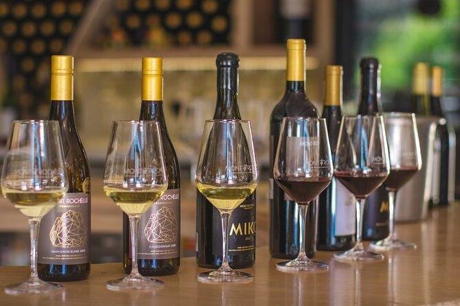 Franschhoek Winelands Luxury EBike Tour - Lunch and pairings make the price easier to judge