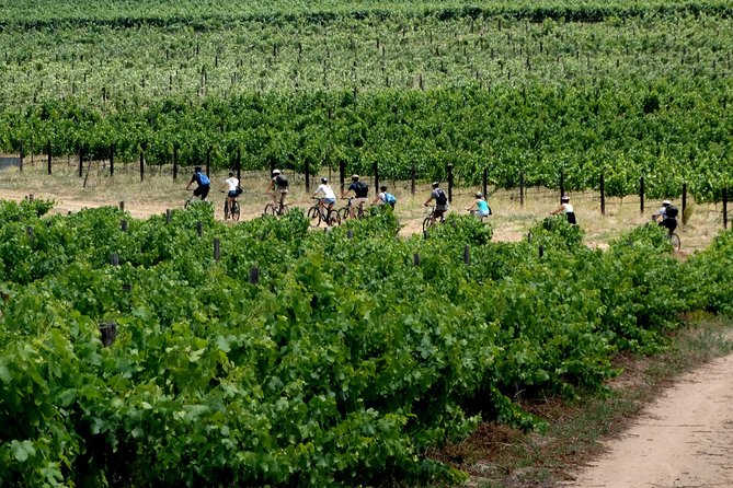 Franschhoek Winelands Luxury EBike Tour - La Bri offers a quieter wine-farm stop