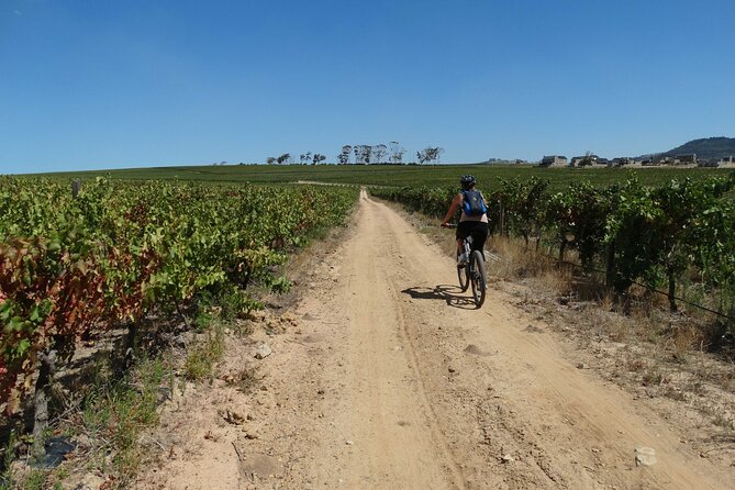 Franschhoek Winelands Meander © - The Huguenot monument adds useful context