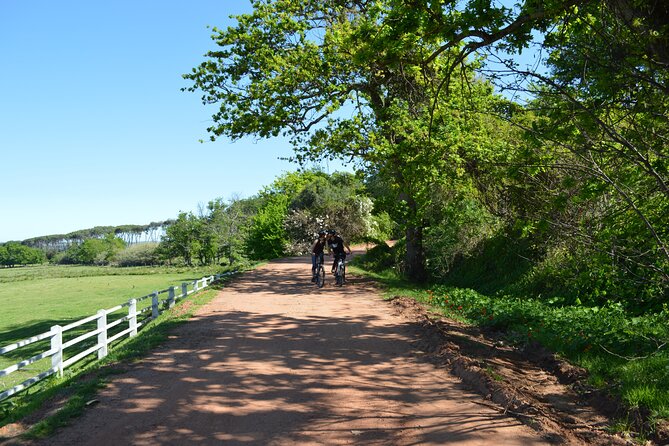 Franschhoek Winelands Meander © - The guide can make or break the day