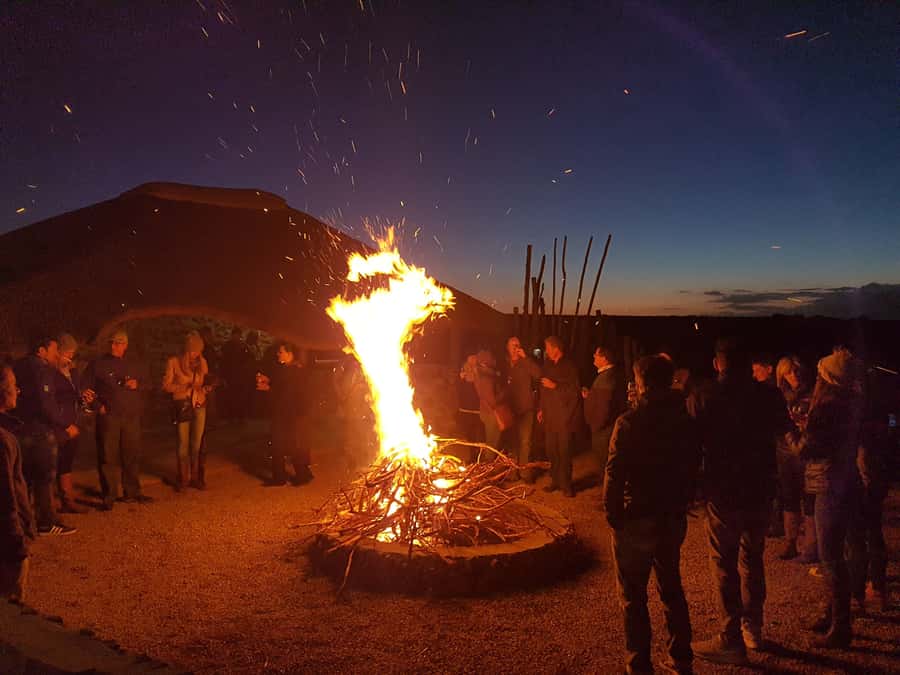 From Cape Town: 2-Day Safari at Garden Route Game Lodge - Dinner, stars, and a comfortable night