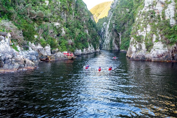 From Cape Town: 2-Nights, 3-Days Garden Route private tour - Why this private Garden Route trip works
