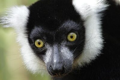2-Nights, 3-Days Garden Route private tour