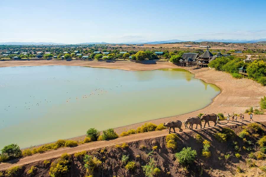 From Cape Town: 3-Day Garden Route Highlights and 4x4 Safari - Key points to know before booking