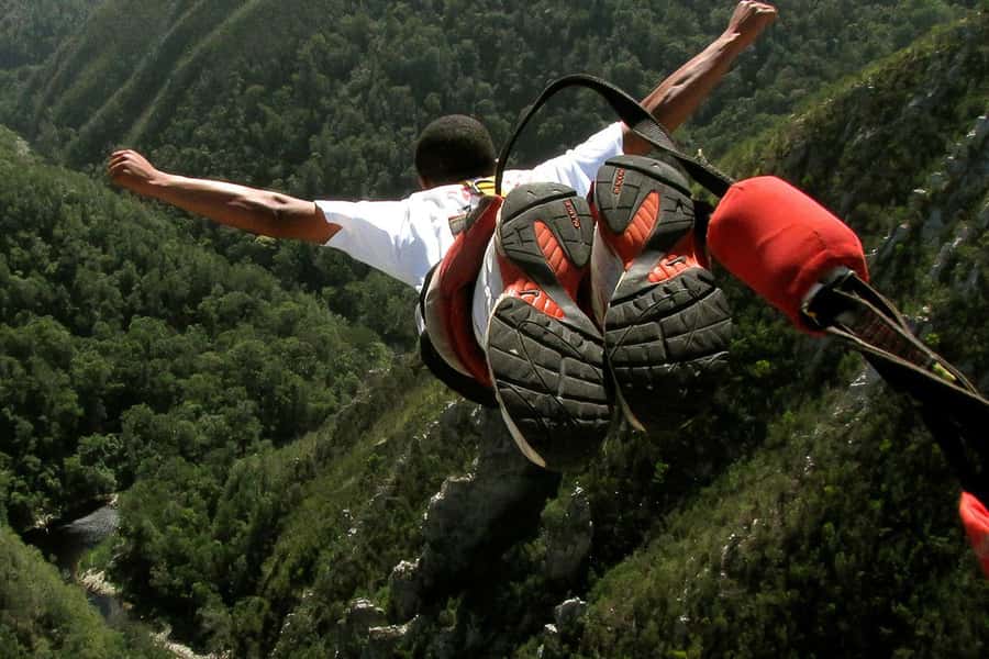 From Cape Town: 3-Day Garden Route Highlights and 4x4 Safari - Final verdict: a lot of South Africa in a short time