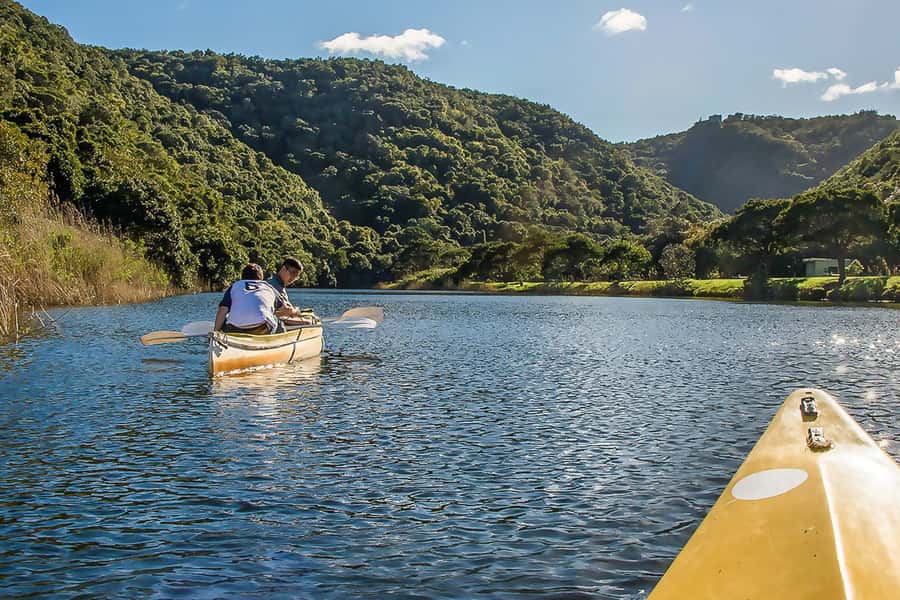 From Cape Town: 3-Day Garden Route Highlights and 4x4 Safari - Day 2: Elephants, quiet waterways, and Bloukrans Bridge