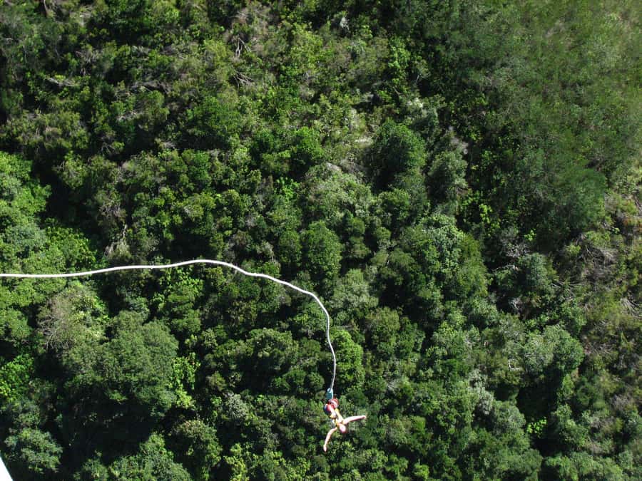 From Cape Town: 3-Day Garden Route Highlights and 4x4 Safari - Who should book this trip?