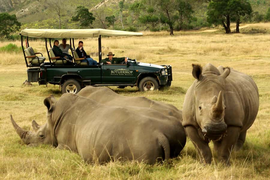 From Cape Town: 3-Day Garden Route Highlights and 4x4 Safari - Day 1: Route 62 and the underground world of Cango Caves