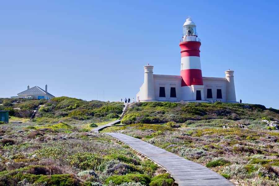 From Cape Town: 3-Day Garden Route Safari and Coastal Tour - Accommodation, meals, and what to pack